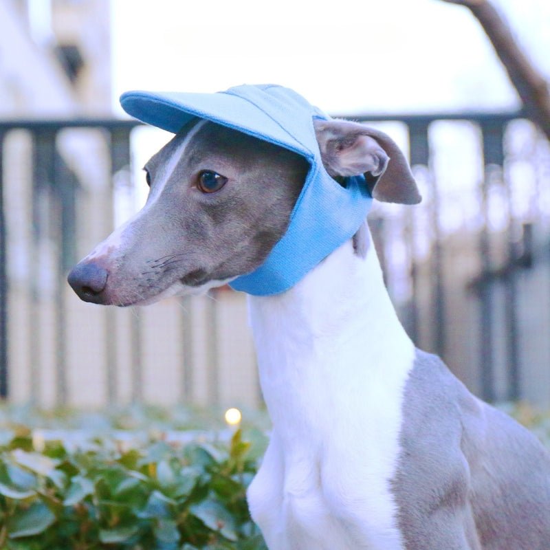 Adjustable Italian Dog Baseball Cap