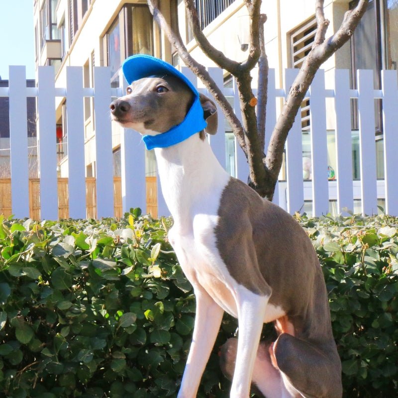 Adjustable Italian Dog Baseball Cap