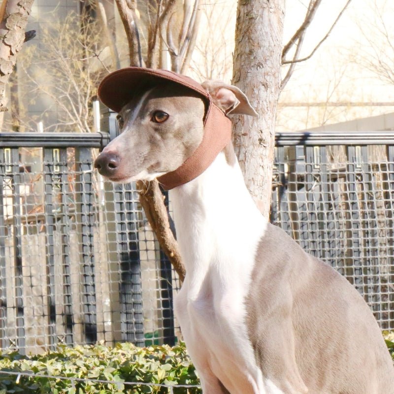 Adjustable Italian Dog Baseball Cap