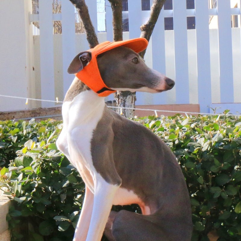 Adjustable Italian Dog Baseball Cap