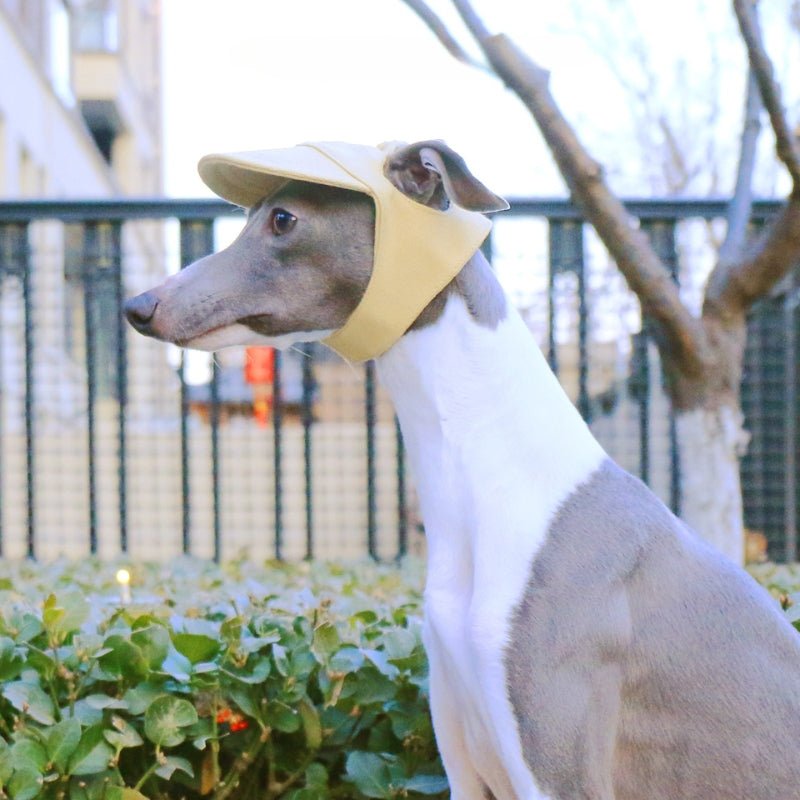 Adjustable Italian Dog Baseball Cap
