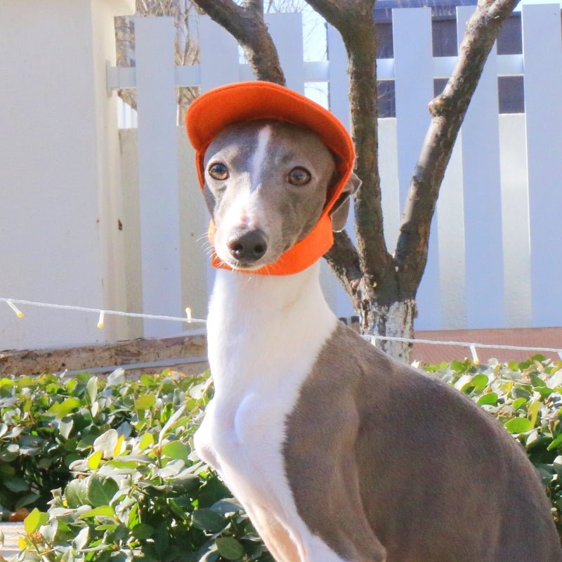 Adjustable Italian Dog Baseball Cap