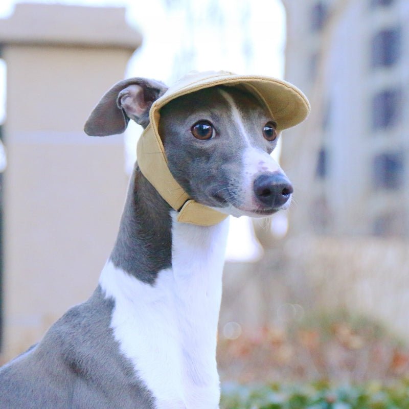 Adjustable Italian Dog Baseball Cap