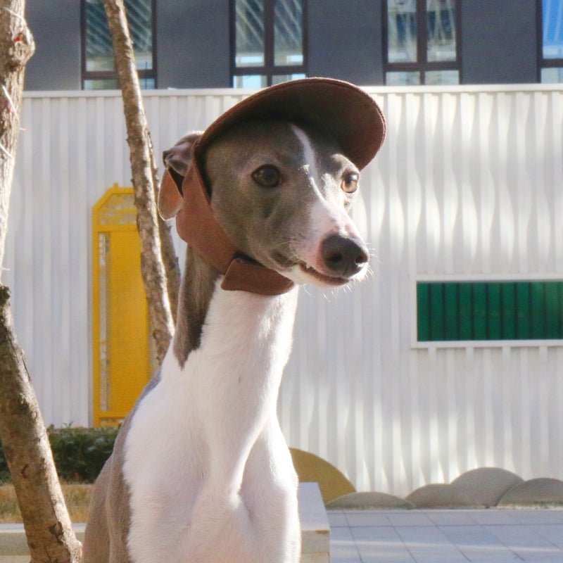Adjustable Italian Dog Baseball Cap