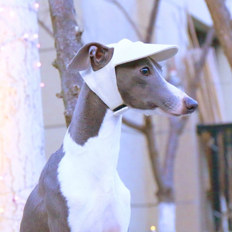 Adjustable Italian Dog Baseball Cap