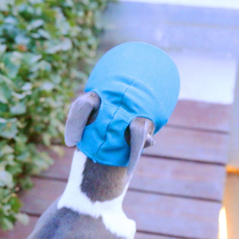 Adjustable Italian Dog Baseball Cap