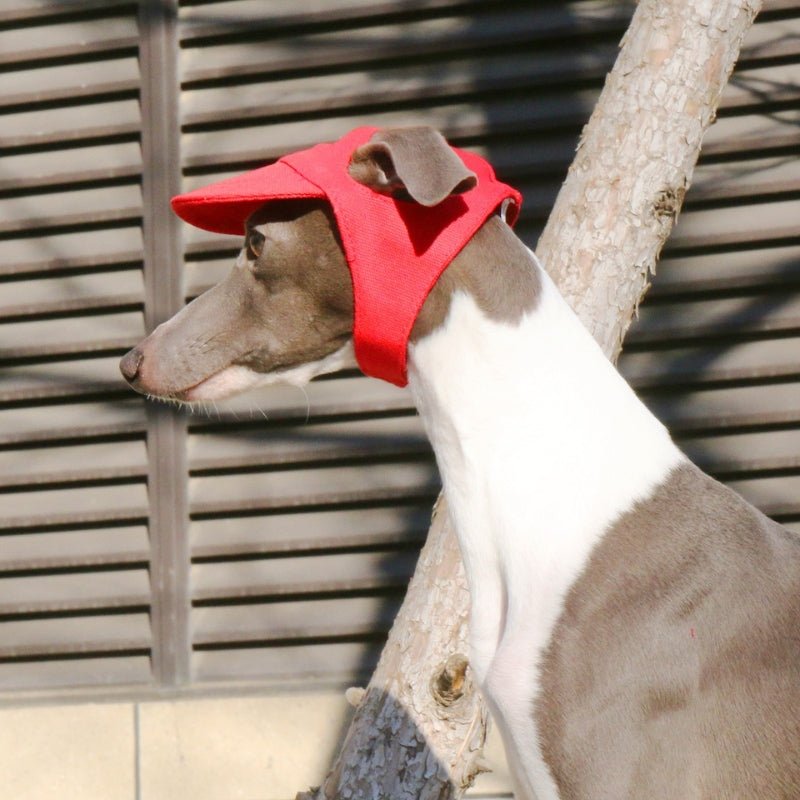 Adjustable Italian Dog Baseball Cap