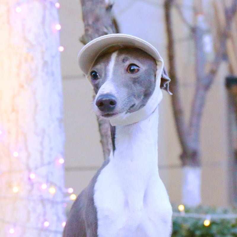 Adjustable Italian Dog Baseball Cap
