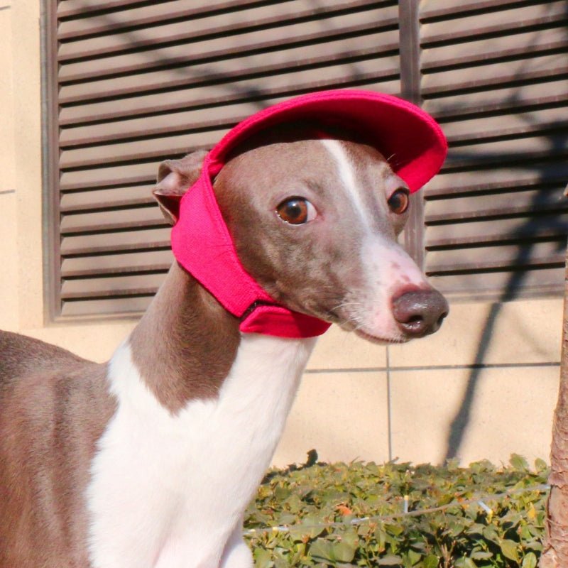 Adjustable Italian Dog Baseball Cap