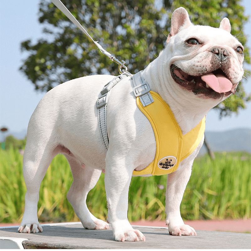 Adjustable Medium Dog Harness Vest