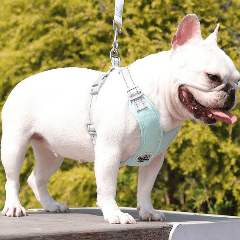 Adjustable Medium Dog Harness Vest