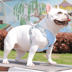 Adjustable Medium Dog Harness Vest