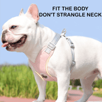 Adjustable Medium Dog Harness Vest