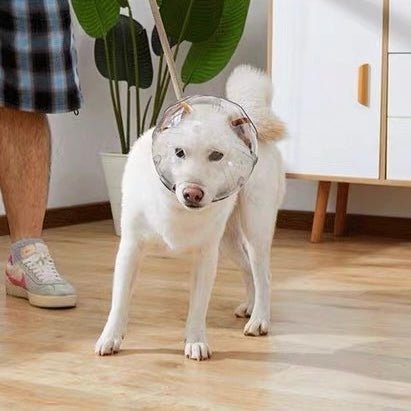 Adjustable Dog Anti Bite Space Helmet