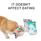 Adjustable Dog Anti Bite Space Helmet