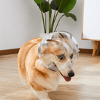 Adjustable Dog Anti Bite Space Helmet