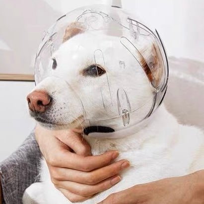 Adjustable Dog Anti Bite Space Helmet