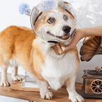 Adjustable Dog Anti Bite Space Helmet