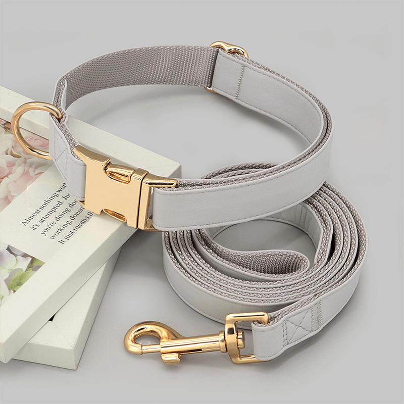 Adjustable Dog Collar Medium Large Breeds