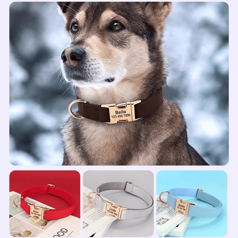 Adjustable Dog Collar Medium Large Breeds