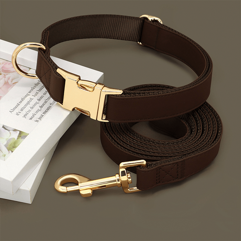 Adjustable Dog Collar Medium Large Breeds