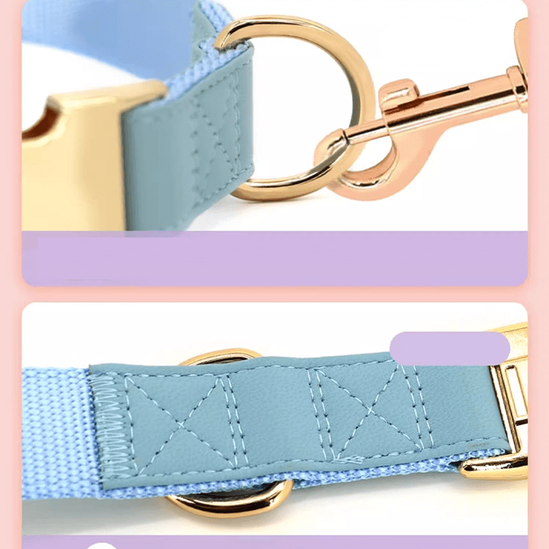 Adjustable Dog Collar Medium Large Breeds