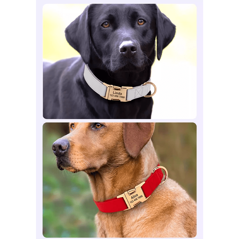 Adjustable Dog Collar Medium Large Breeds