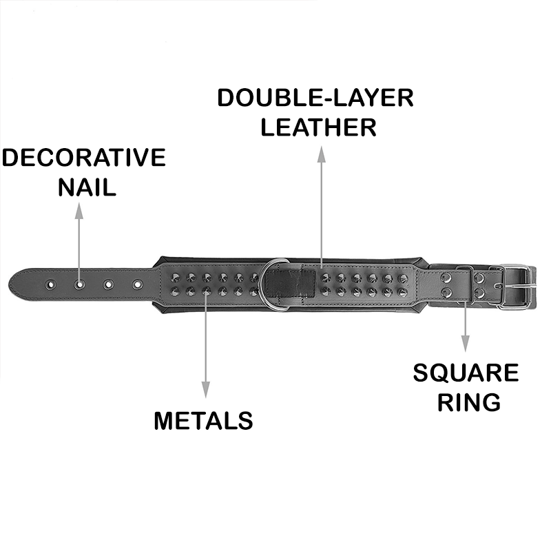 Durable Leather Anti Bite Dog Collar