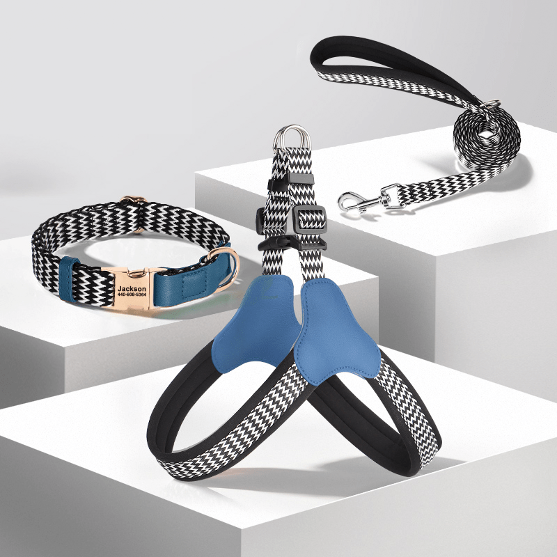 Anti Loss Small Medium Dog Collar