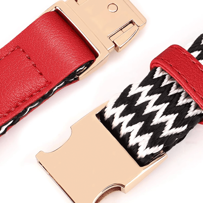 Anti Loss Small Medium Dog Collar