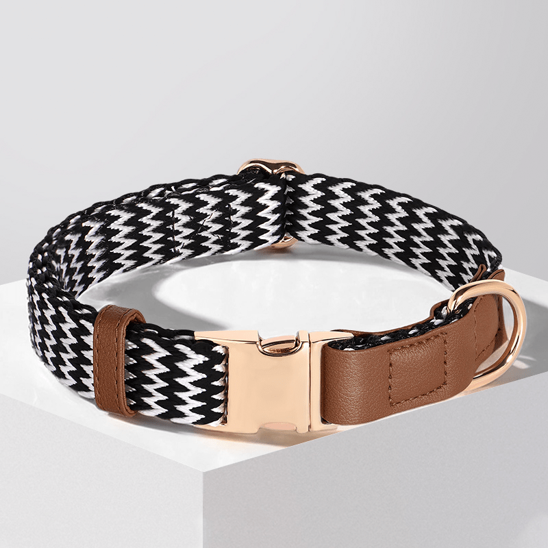 Anti Loss Small Medium Dog Collar