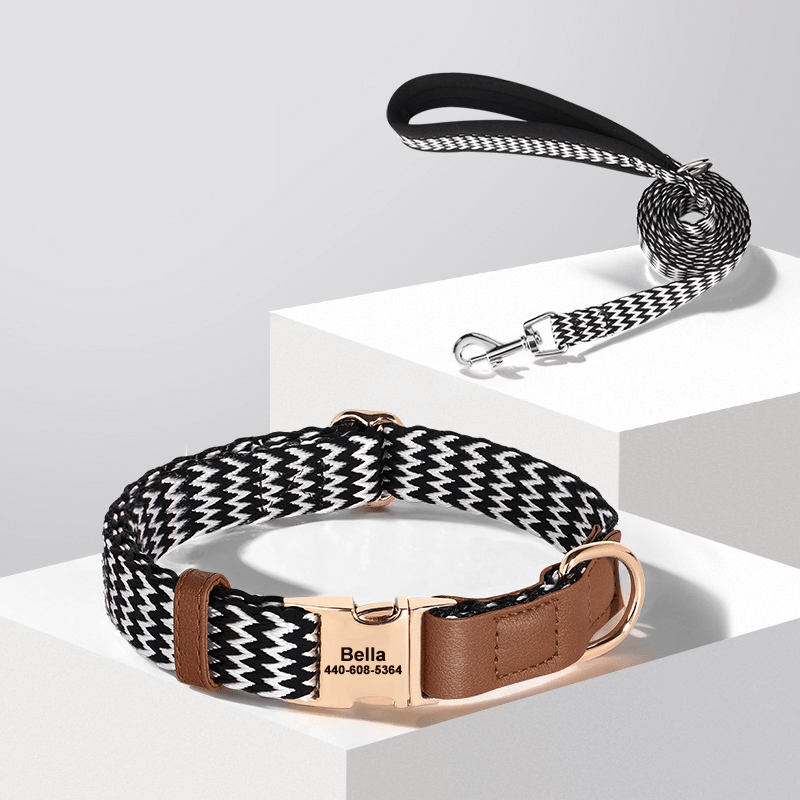 Anti Loss Small Medium Dog Collar