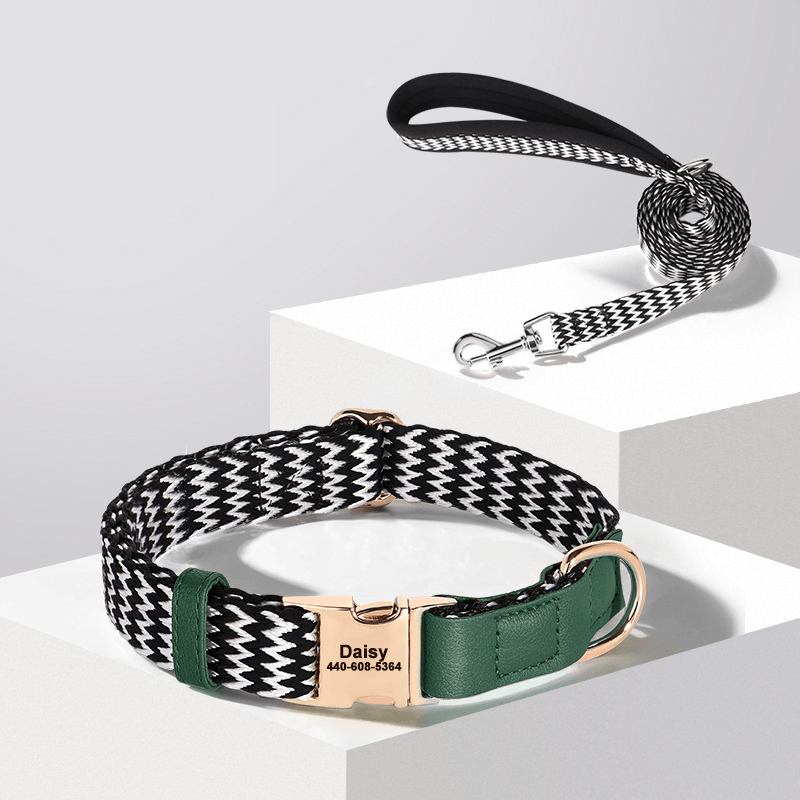 Anti Loss Small Medium Dog Collar