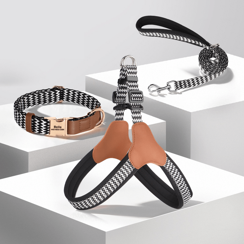 Anti Loss Small Medium Dog Collar