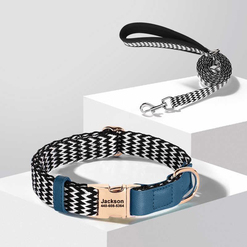 Anti Loss Small Medium Dog Collar