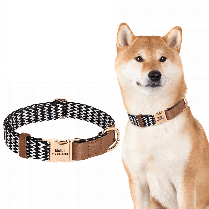 Anti Loss Small Medium Dog Collar