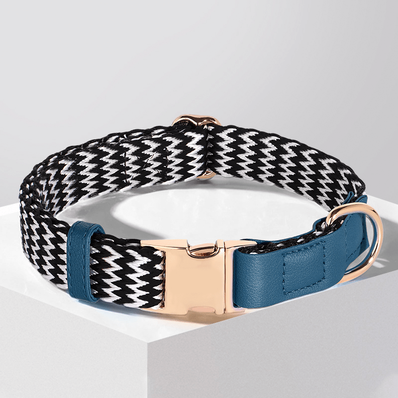 Anti Loss Small Medium Dog Collar