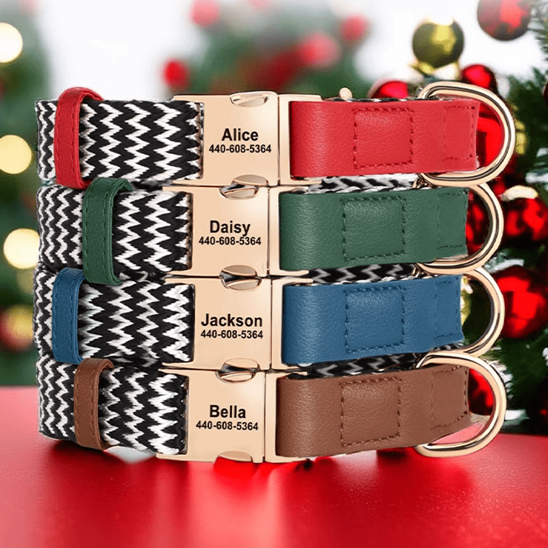 Anti Loss Small Medium Dog Collar