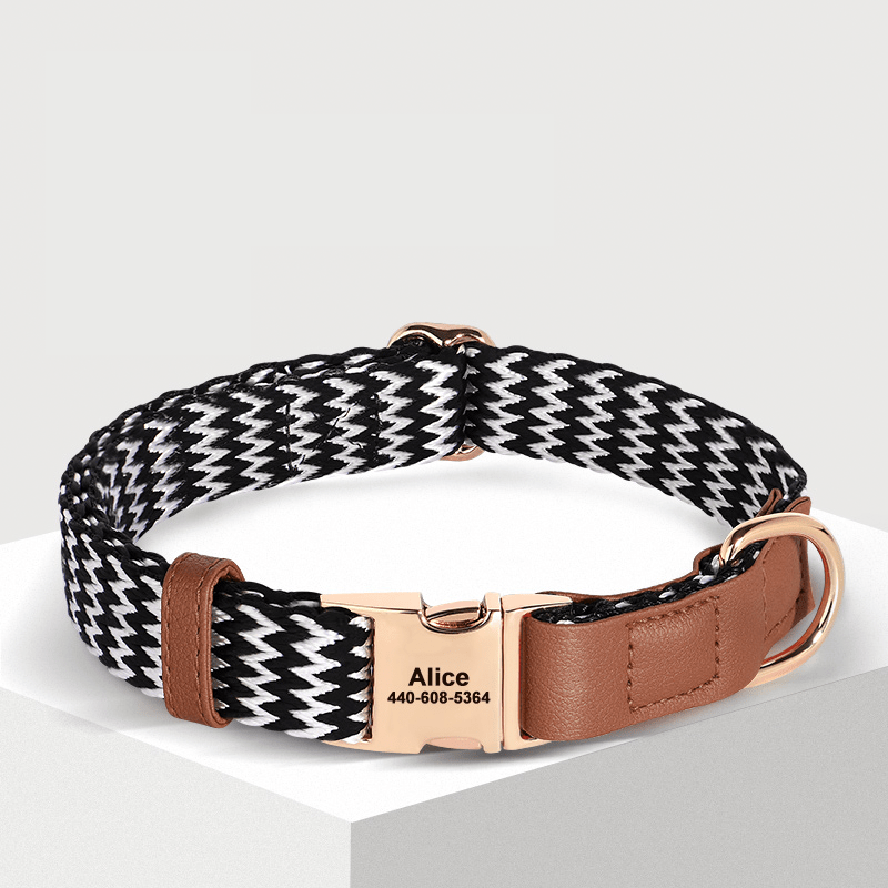 Anti Loss Small Medium Dog Collar