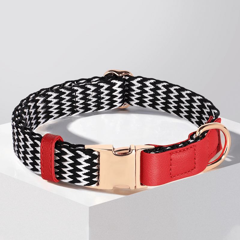 Anti Loss Small Medium Dog Collar