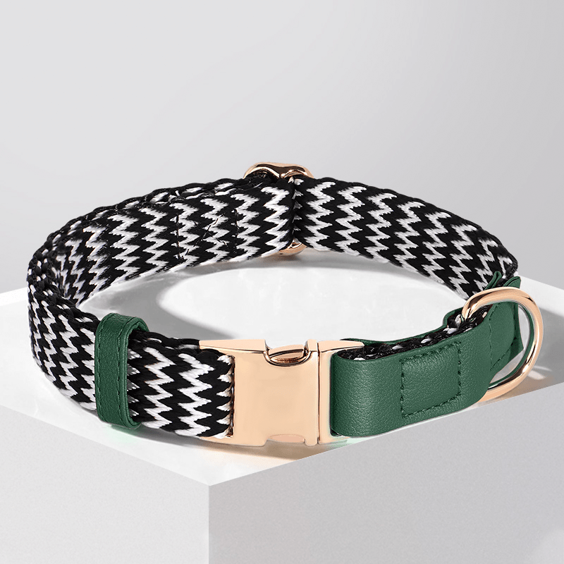 Anti Loss Small Medium Dog Collar