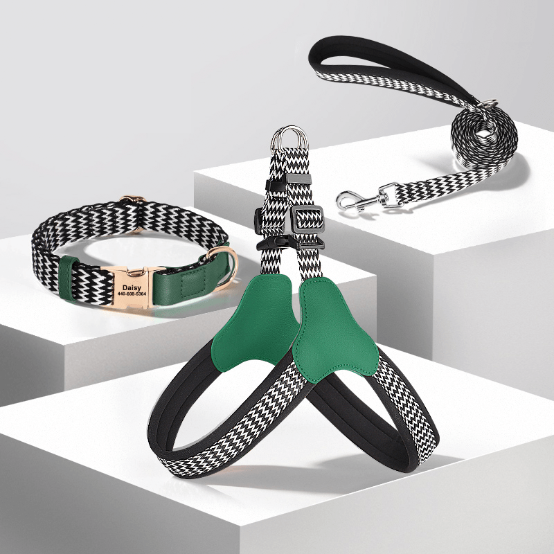 Anti Loss Small Medium Dog Collar