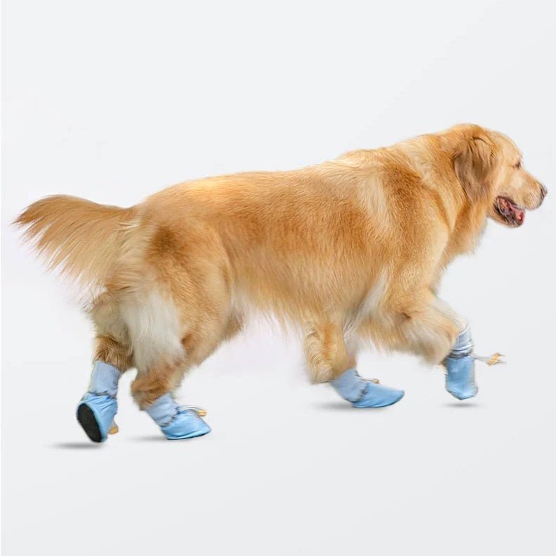 Anti Slip Dog Boots Outdoor