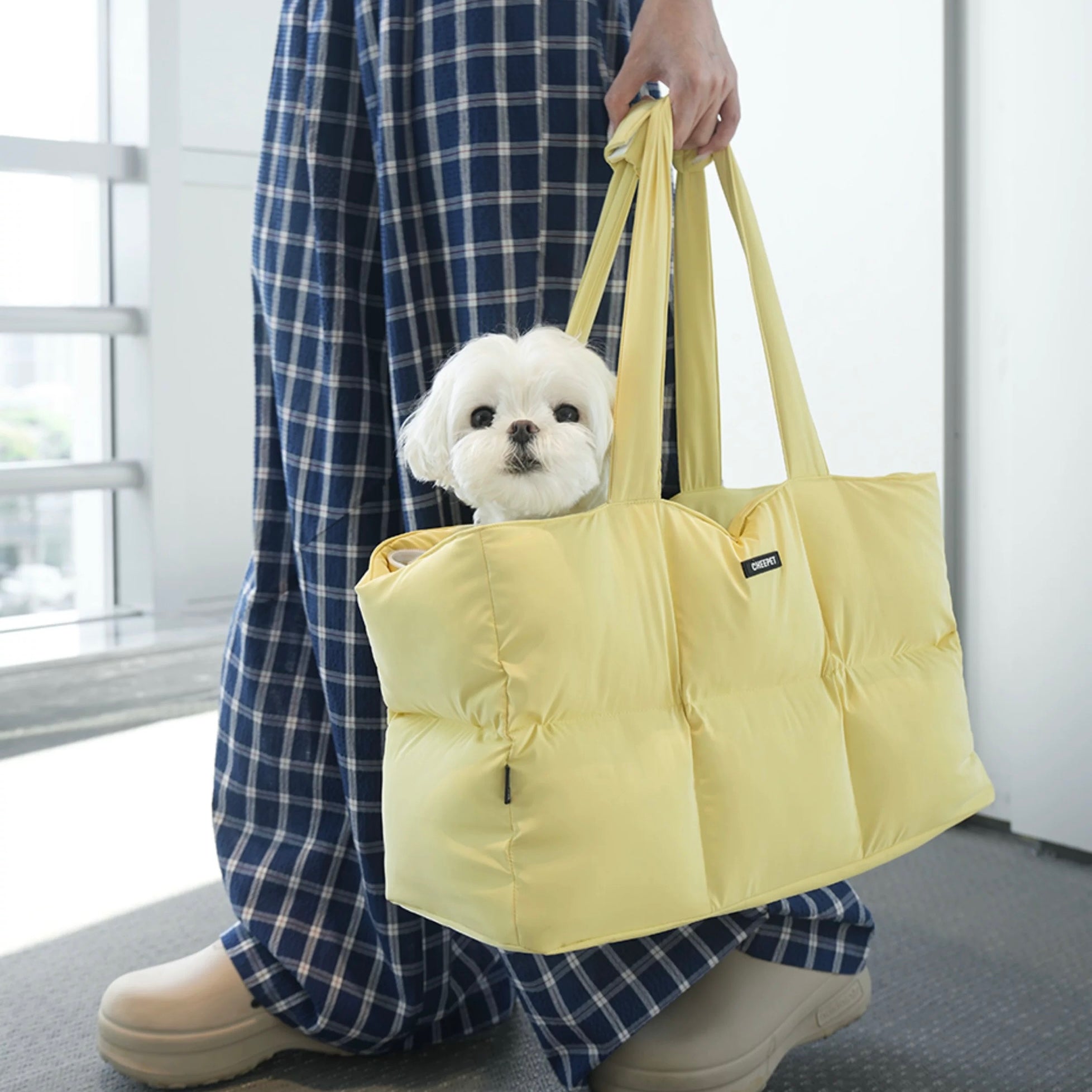 Comfortable Large Dog Travel Carrier