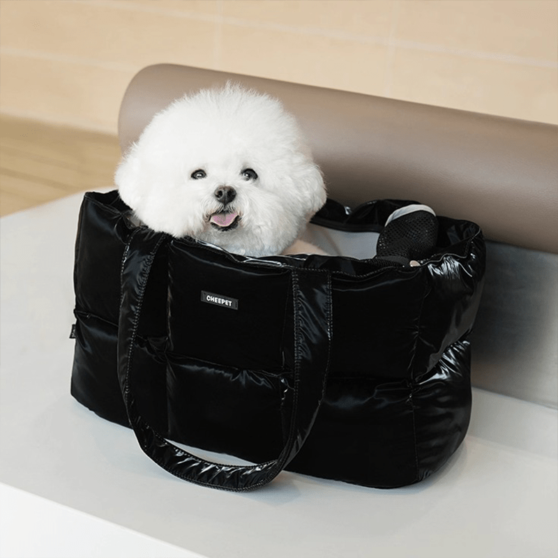 Comfortable Large Dog Travel Carrier