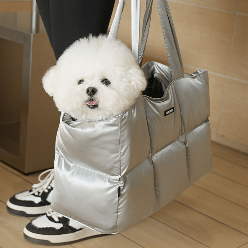 Comfortable Large Dog Travel Carrier