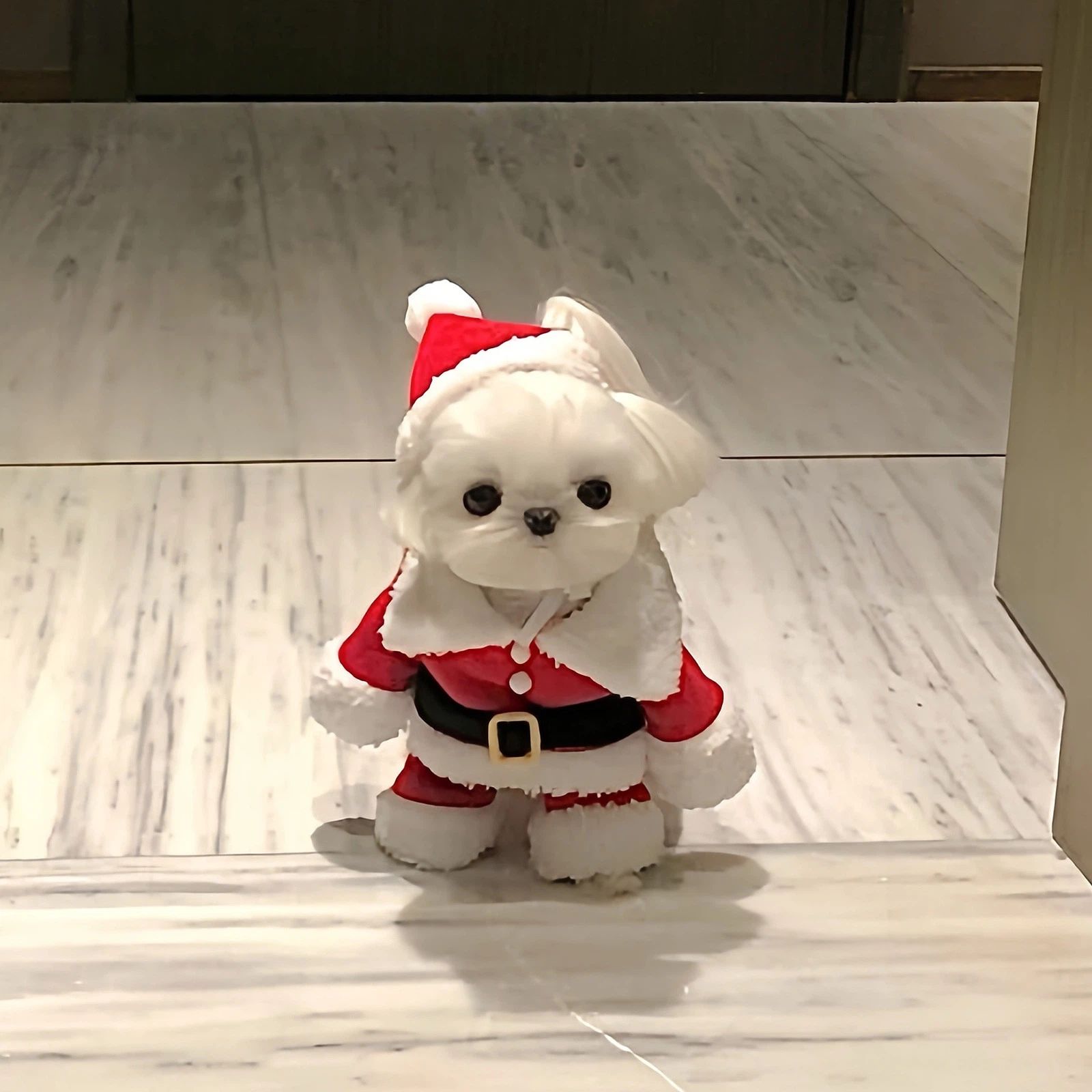 Soft and warm Santa costume for dogs and cats, perfect for Christmas celebrations