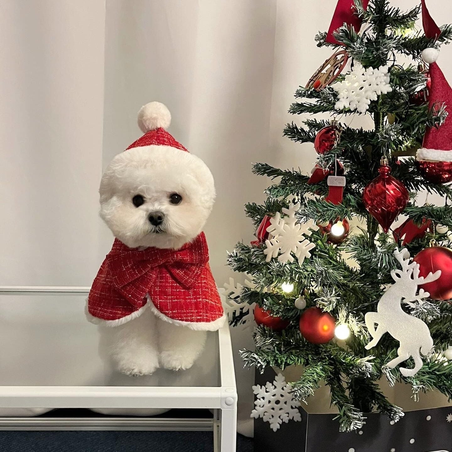 Plush Hooded Pet Christmas Cape