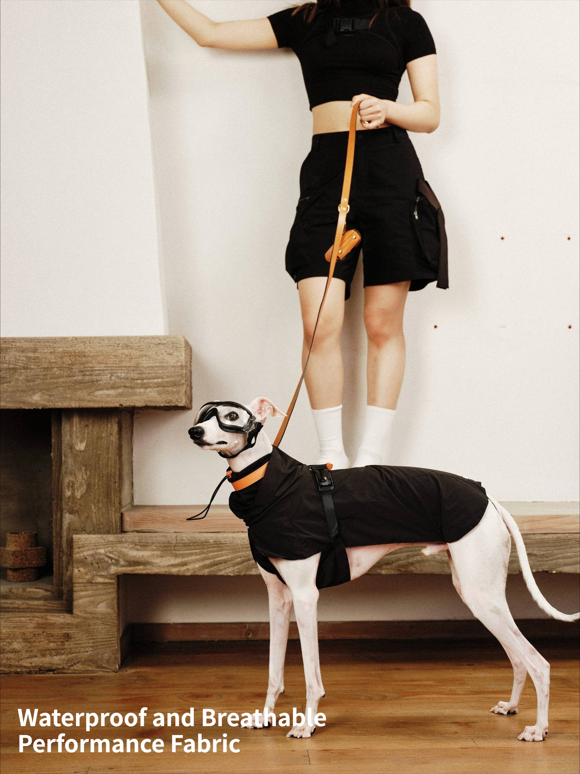 Waterproof Dog Shell Jacket