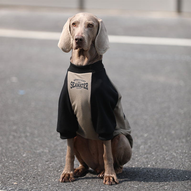 Soft Breathable Big Dog Hoodie